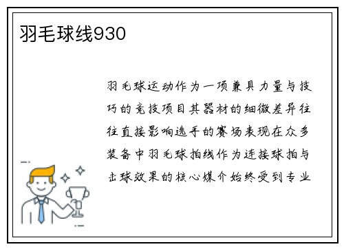 羽毛球线930